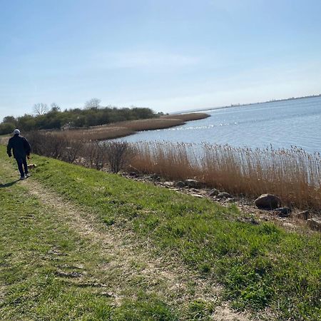 Ferienhaus - 135 Qm - Naehe Insel Poel Ostsee Damekow Zewnętrze zdjęcie