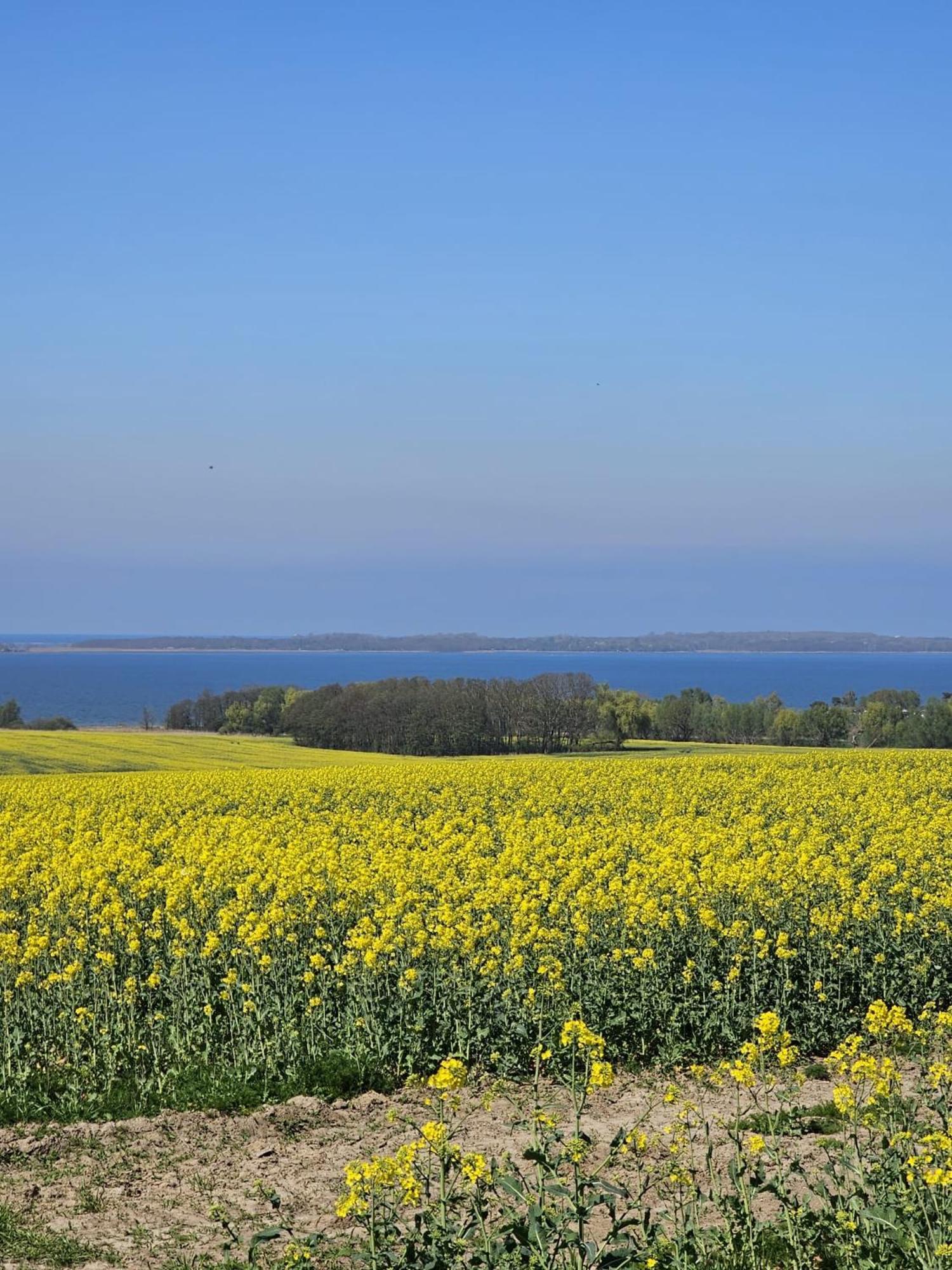 Ferienhaus - 135 Qm - Naehe Insel Poel Ostsee Damekow Zewnętrze zdjęcie